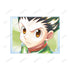 『HUNTER×HUNTER』ゴン Ani-Art aqua label A6アクリルパネル【202609再販】
