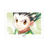 『HUNTER×HUNTER』ゴン Ani-Art aqua label A3マット加工ポスター【202508再販】