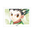『HUNTER×HUNTER』ゴン Ani-Art aqua label A3マット加工ポスター【202609再販】