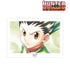 『HUNTER×HUNTER』ゴン Ani-Art aqua label A3マット加工ポスター【202609再販】