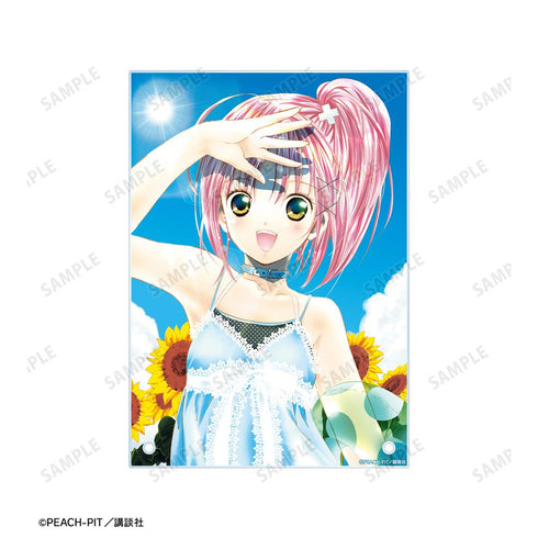 『しゅごキャラ!』日奈森あむ A5アクリルパネル ver.B【202601再販】