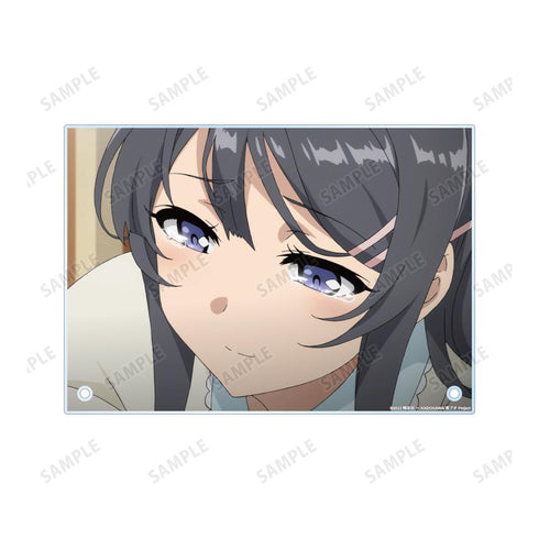 『青春ブタ野郎はバニーガール先輩の夢を見ない』桜島麻衣 場面写A5アクリルパネル ver.A【202503再販】
