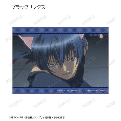 『しゅごキャラ!』トレーディング場面写ブロマイド(単位/BOX)