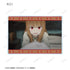 『狼と香辛料 MERCHANT MEETS THE WISE WOLF』トレーディング ホロ 場面写アクリルカード vol.2(単位/BOX)【202607再販】