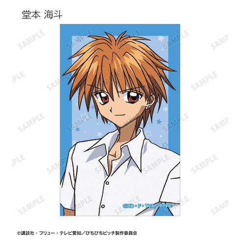 『ぴちぴちピッチ』トレーディングイラストカード vol.2(単位/BOX)【202511再販】