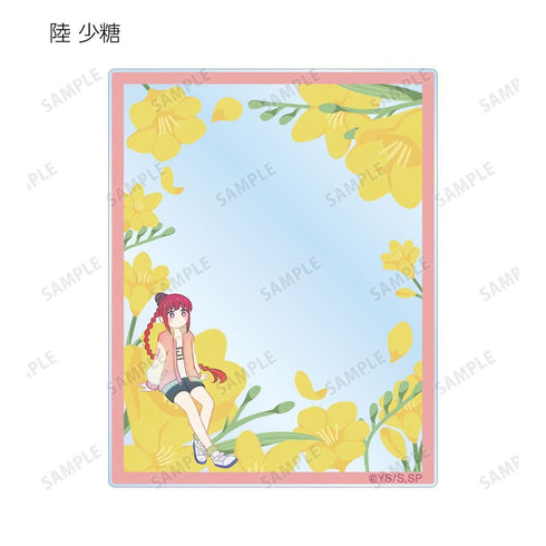《SAKAMOTO DAYS》收藏卡 Botania 亚克力卡(单位/盒)【202608再版】