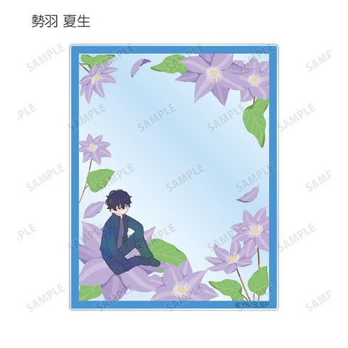 《SAKAMOTO DAYS》收藏卡 Botania 亚克力卡(单位/盒)【202608再版】