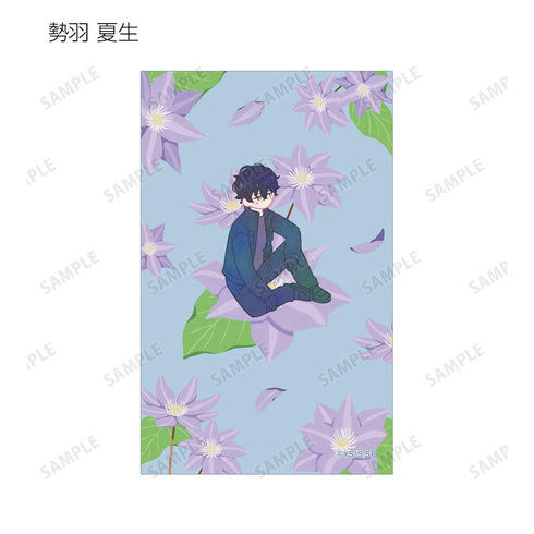 『SAKAMOTO DAYS』トレーディング Botania イラストカード(単位/BOX)
