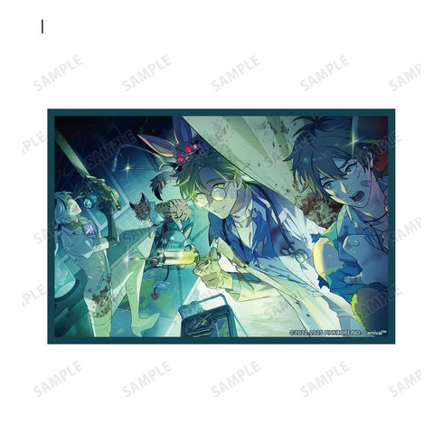 『NU: カーニバル』トレーディングカラーイラストクリアカード(単位/BOX)