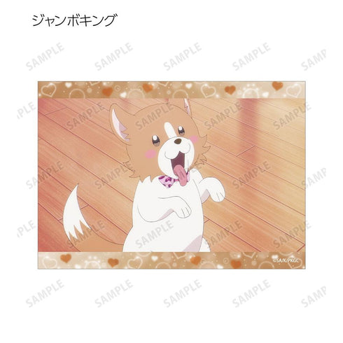 『乙女怪獣キャラメリゼ』トレーディング場面写ブロマイド(単位/BOX)