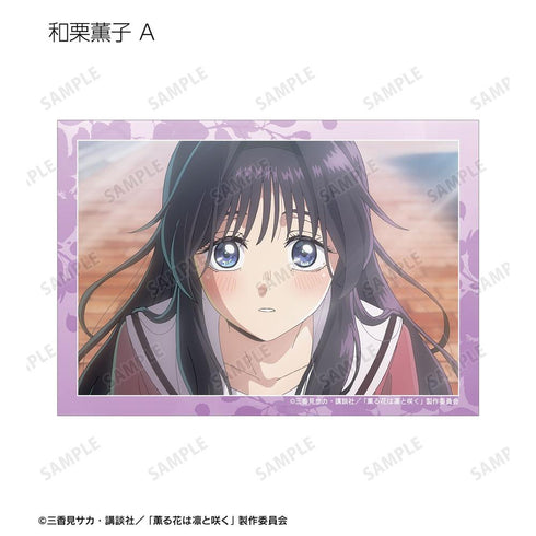 『薫る花は凛と咲く』トレーディング 紬 凛太郎&和栗薫子オンリー 場面写ブロマイド(単位/BOX)