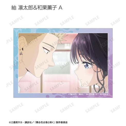 『薫る花は凛と咲く』トレーディング 紬 凛太郎&和栗薫子オンリー 場面写ブロマイド(単位/BOX)