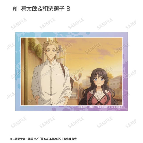 『薫る花は凛と咲く』トレーディング 紬 凛太郎&和栗薫子オンリー 場面写ブロマイド(単位/BOX)