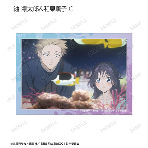『薫る花は凛と咲く』トレーディング 紬 凛太郎&和栗薫子オンリー 場面写ブロマイド(単位/BOX)