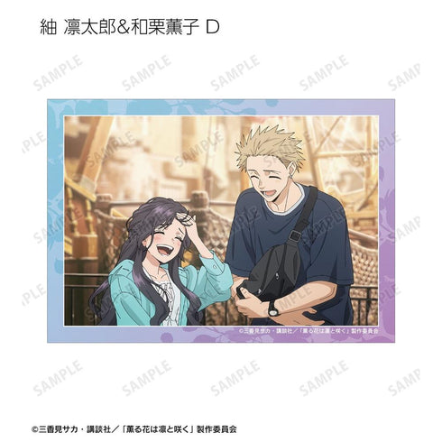 『薫る花は凛と咲く』トレーディング 紬 凛太郎&和栗薫子オンリー 場面写ブロマイド(単位/BOX)