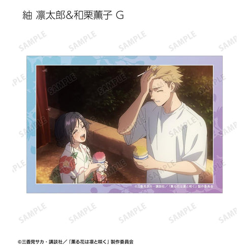 『薫る花は凛と咲く』トレーディング 紬 凛太郎&和栗薫子オンリー 場面写ブロマイド(単位/BOX)