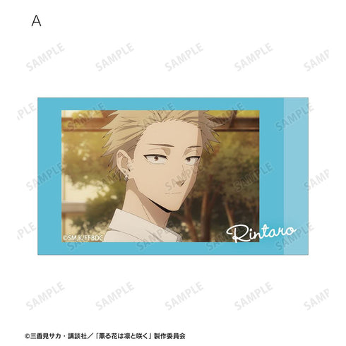 『薫る花は凛と咲く』紬 凛太郎 場面写Ani-Frame2枚セット