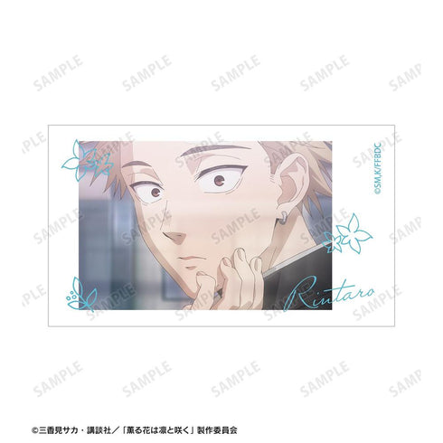 『薫る花は凛と咲く』紬 凛太郎&和栗薫子 場面写Ani-Frame2枚セット ver.B