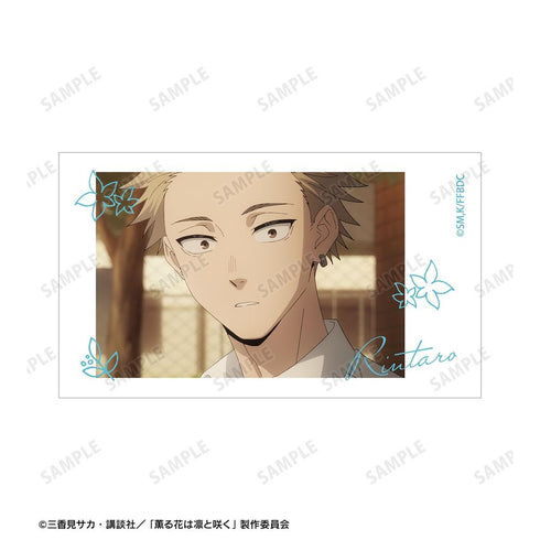 『薫る花は凛と咲く』紬 凛太郎&和栗薫子 場面写Ani-Frame2枚セット ver.C