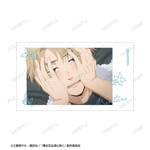 『薫る花は凛と咲く』紬 凛太郎&和栗薫子 場面写Ani-Frame2枚セット ver.E