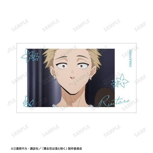 『薫る花は凛と咲く』紬 凛太郎&和栗薫子 場面写Ani-Frame2枚セット ver.G