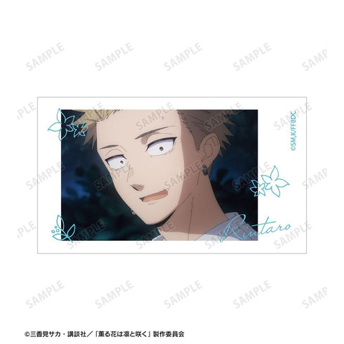 『薫る花は凛と咲く』紬 凛太郎&和栗薫子 場面写Ani-Frame2枚セット ver.K