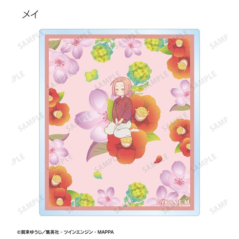 "Jiguraku" Trading Botania Acrylic Cards (Unit: Box)