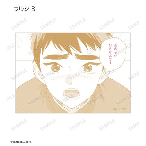 『ララの結婚』トレーディングブロマイド(単位/BOX)