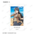 《青春豬頭系列》全新繪製 海邊回憶版 Ani-Frame 收藏卡(單位/盒)