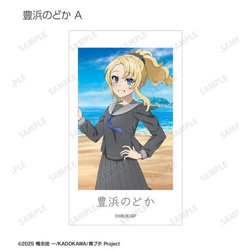 《青春豬頭系列》全新繪製 海邊回憶版 Ani-Frame 收藏卡(單位/盒)