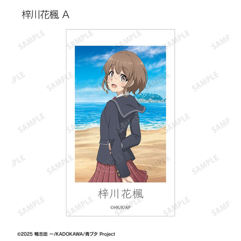 《青春豬頭系列》全新繪製 海邊回憶版 Ani-Frame 收藏卡(單位/盒)
