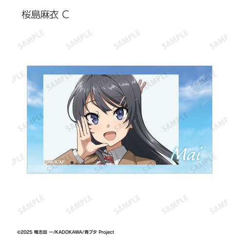 《青春豬頭系列》全新繪製 海邊回憶版 Ani-Frame 收藏卡(單位/盒)