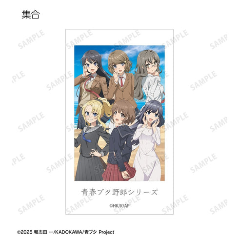 《青春豬頭系列》全新繪製 海邊回憶版 Ani-Frame 收藏卡(單位/盒)