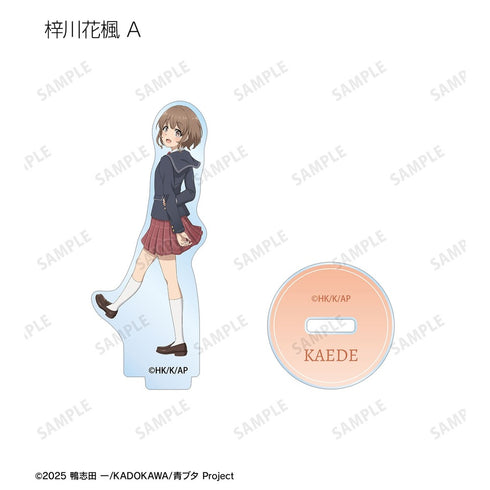 《青春猪头系列》全新绘制 海边回忆版 亚克力立牌(单位/盒)