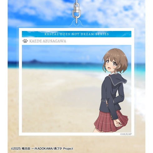 『青春ブタ野郎シリーズ』描き下ろし 梓川花楓 海での思い出ver. SNS風BIGアクリルキーホルダー