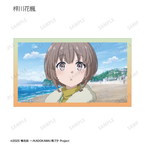 《青春猪头系列》交易型场景插画卡(单位/盒)