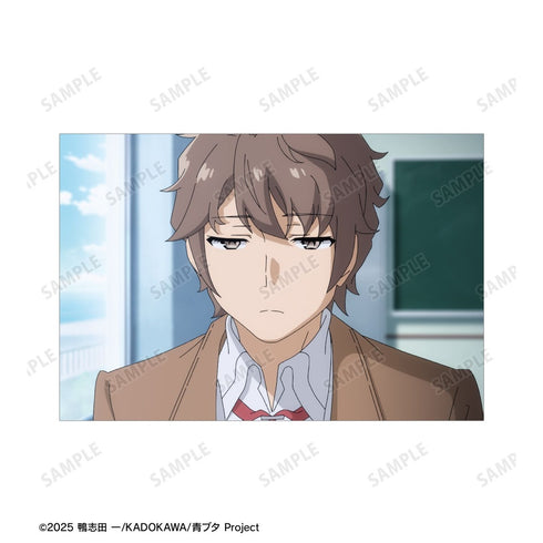 "Seishun Buta Yarou Series" Sakuta Azusagawa Scene Postcard 3-Piece Set