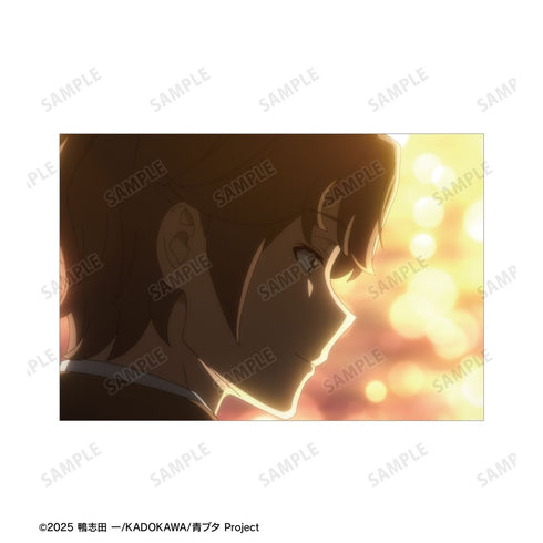 "Seishun Buta Yarou Series" Sakuta Azusagawa Scene Postcard 3-Piece Set
