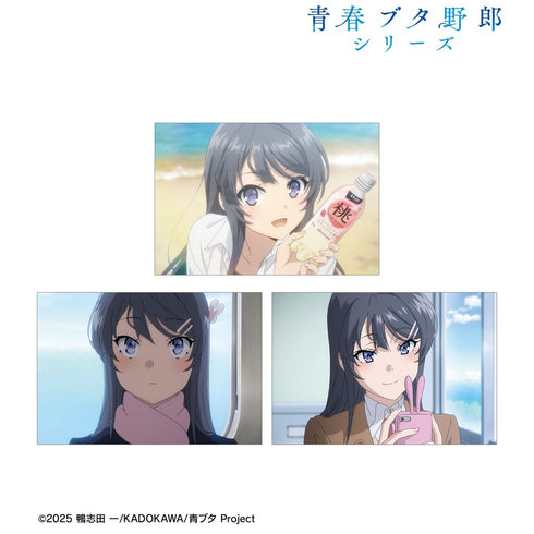『青春ブタ野郎シリーズ』桜島麻衣 場面写ポストカード3枚セット