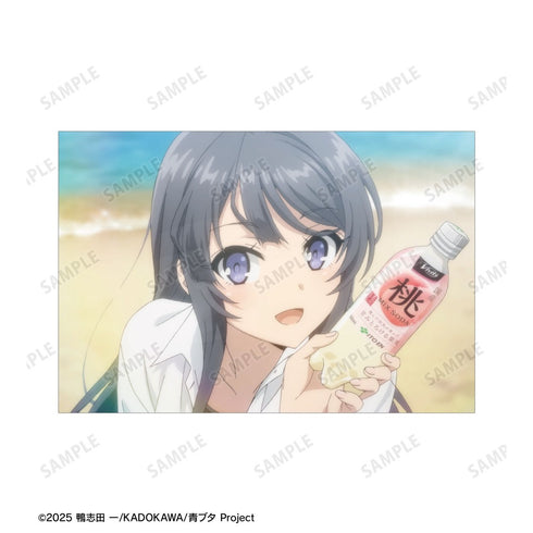 『青春ブタ野郎シリーズ』桜島麻衣 場面写ポストカード3枚セット