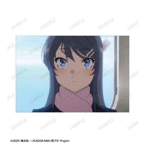 『青春ブタ野郎シリーズ』桜島麻衣 場面写ポストカード3枚セット