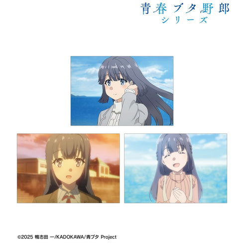 《青春猪头系列》牧之原翔子 场景明信片3张套装