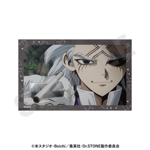 《Dr.STONE》贴纸套装 对话版(Dr.泽诺)