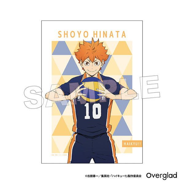 『ハイキュー!!』布ポスター パターンアート 日向翔陽
