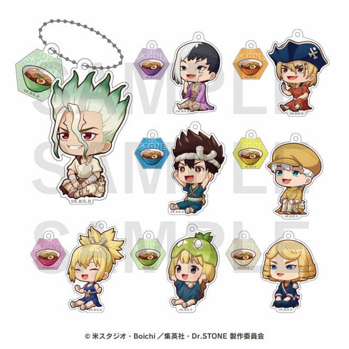 『Dr.STONE』トレーディングアクリルキーホルダー 全8種【BOX】