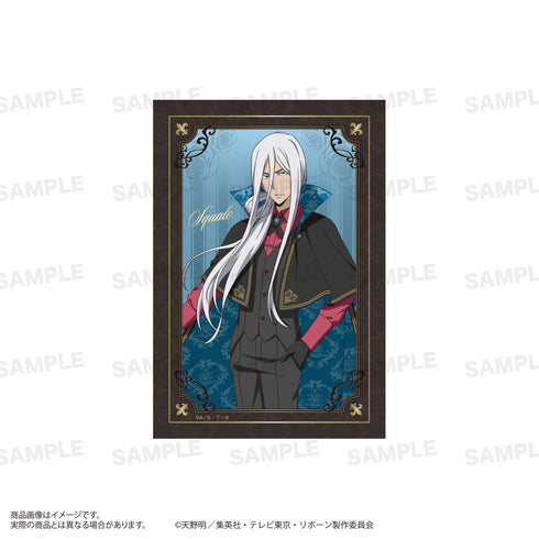 『家庭教師ヒットマンREBORN!』トレーディングフォト風カード Vampire Ver.【BOX】