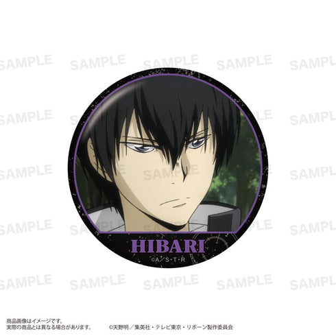 『家庭教師ヒットマンREBORN!』トレーディング場面写缶バッジ【BOX】