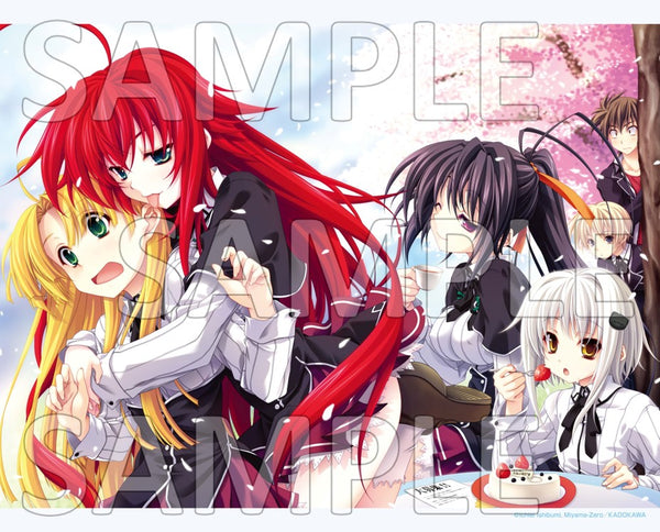 『ハイスクールD×D』キャンバスアート<花見ver.>