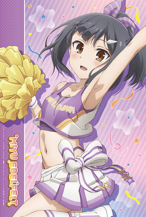 『Fate/kaleid liner プリズマ☆イリヤ Licht 名前の無い少女』描き下ろしB2タペストリー【チアver.】③美遊