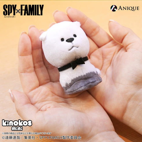 『SPY×FAMILY』トレーディングKINOKOS mini(全6種)1箱【BOX】